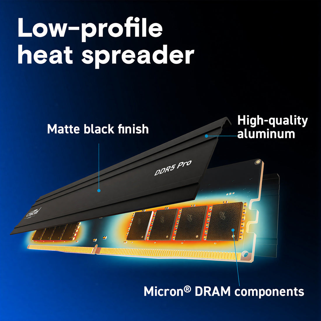 Crucial Pro 16GB DDR5-5600 UDIMM CL46 Desktop RAM